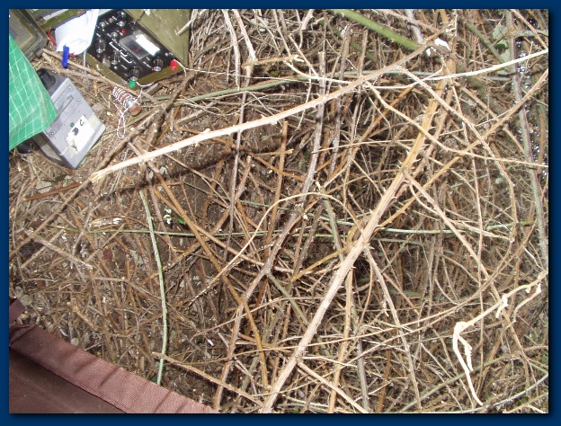 600x449 pixels (213K)